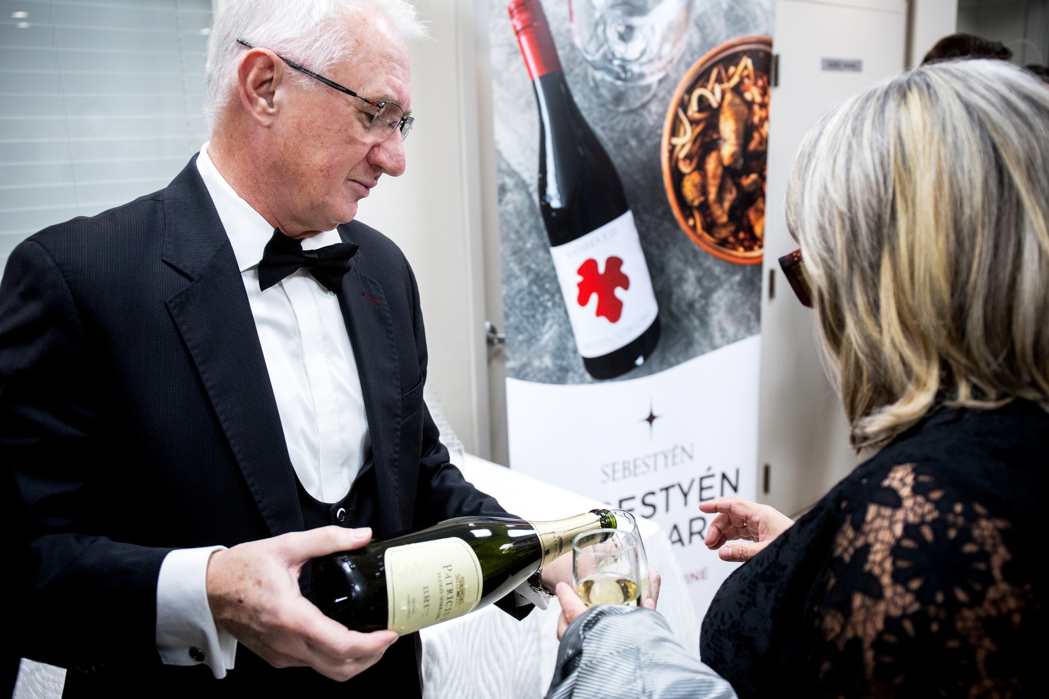 Guests toasting with Patricius Borház Brut champagne at the Hungarian Heritage Month gala dinner in Toronto.