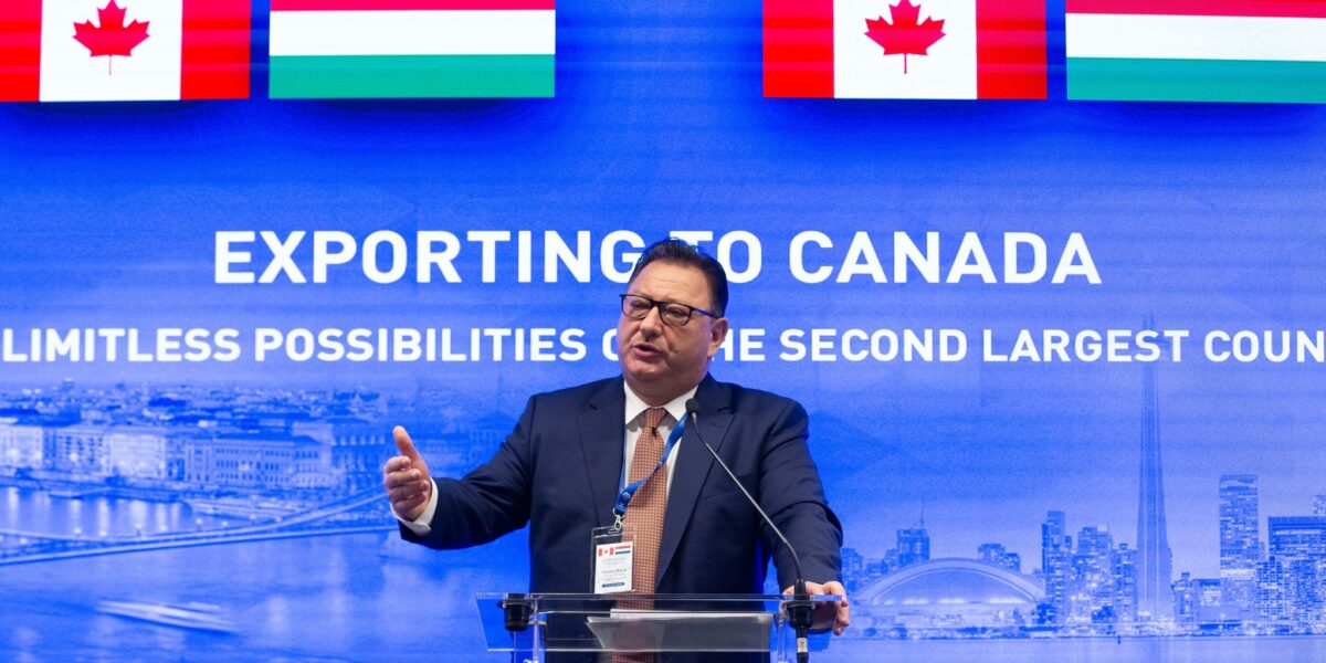 Sándor Balla, Executive Director of HEPA Canada, presenting market entry strategies to Hungarian companies at the Exporting to Canada event.